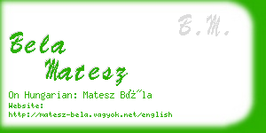 bela matesz business card